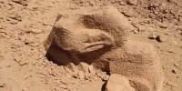 کشف مجسمه ناتمام ابوالهول در مصر