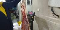 توقف توزیع گوشت تنظیم بازاری در فروشگاه زنجیره ای