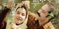 / در سینما و تئاتر چه خبر است؟/