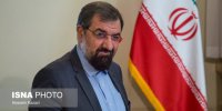 رضایی: دولت خودش را به خواب زده است