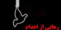 صلح و سازش، پایان نزاع مرگبار در کرمانشاه