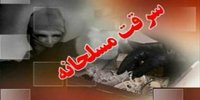 دستگیری 3 سارق مسلح دام در کرمانشاه