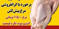 دولت مرغ را تک‎نرخی کند