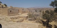 پرورش شتر مرغ روستای خالی از سکنه را احیا کرد + عکس