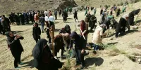 آیین کاشت دو هزار اصل نهال در مجموعه گردشگری بوستان کوهسار
