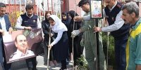 کاشت 59 نهال به یاد 59 شهید آتش‌نشانی تهران + تصاویر