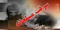 مامور قلابی سرقت مسلحانه ۵۰ میلیاردی را رقم زد