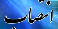 انتصاب پنج تن از اعضای هیات های رسیدگی به تخلفات اداری وزارت اقتصاد