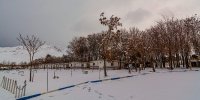 برف زمستانی در چشمه‌علی دامغان