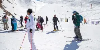 مسابقات اسکی هنرمندان شمشک