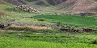 اختصاص 8.5 درصد اعتبارات صندوق توسعه ملی به مراتع کشور