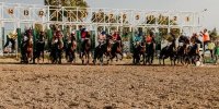 هفته هشتم کورس اسبدوانی تابستانه بندرترکمن برگزار شد