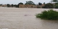 خطر آلودگی آب‌ها در مناطق سیل زده/ مشکل ازدیاد حشرات