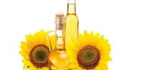 فواید روغن آفتابگردان در تقویت سیستم ایمنی و درمان آکنه