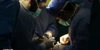 تبلیغات غیرقانونی تزریق بوتاکس و ژل بلای سلامت مردم شده است