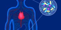 پارکینسون از تشکیل پروتئینی در روده آغاز می شود