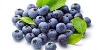 فایده بلوبری برای داشتن پیری سالم