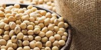 مواد خوراکی ممنوعه برای افراد مبتلا به میزان بالای استروژن