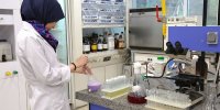 تشریح جزئیات تکنیک جدید پیشگیری از تولد فرزند معلول