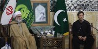 مروی: عشق به امام و انقلاب فرصتی بی‌نظیر برای همکاری ایران و پاکستان است