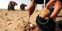 کشف اجساد سوخته ۹ دانشجوی عراقی در غرب الانبار +تصاویر