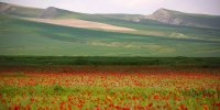 آسمان آفتابی و جوی آرام در اغلب شهرها/گردوخاک در زابل