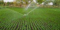 فاینانس چین برای تأمین 1.7 میلیارد دلار اعتبار طرح 550 هزار هکتاری خوزستان