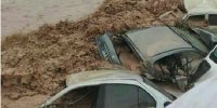 پرداخت خسارت سیل به خودروهای فاقد بیمه/تشکیل ١٠هزار پرونده مسکونی