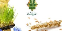 ۶۵ میلیارد و ۴۱۳ میلیون غرامت به کشاورزان سیل زده پرداخت شد
