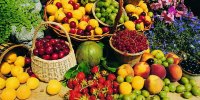 افزایش ۳۰ درصدی تولید محصولات باغی/ بارندگی بهره وری را بالا برد