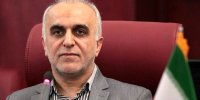 رشد قابل‌توجه واردت کالاهای اساسی به کشور/ مردم نگران نباشند
