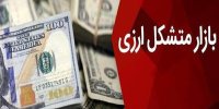 کارایی و عمق یافتن بازار متشکل ارزی نیازمند زمان است