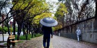 سال آینده تَرسالی نداریم/ لزوم استفاده از تجربیات بین المللی
