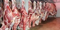 واسطه‌ها اجازه کاهش قیمت گوشت را نمی‌دهند