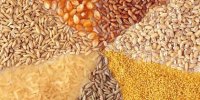 واردات گسترده مونوکلسیم فسفات با ارز دولتی؛ فروش به نرخ آزاد