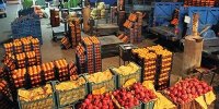 جزئیات رشد قیمت سبزیجات/ افزایش ۵۰۰ درصدی قیمت سیب زمینی و گوجه