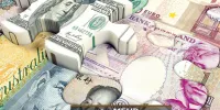 راهکار بانک مرکزی برای کنترل نوسانات بازار ارز