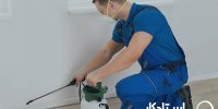 چگونه قبل از تابستان خانه را سمپاشی کنیم؟