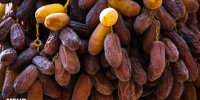 رشد ۶۰ درصدی قیمت خرما از مبدا تا مقصد/موجودی ۱۰۰هزارتنی انبارها