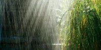 حجم بارش سال آبی جاری در مرکزی ۵برابر میانگین بلندمدت است