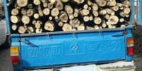 ۲ تن چوب قاچاق بلوط در لردگان کشف شد