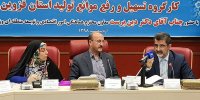 فرماندارانی که یک واحد بزرگ تولیدی آنها تعطیل شود برکنار می شوند