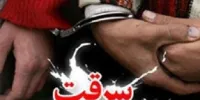 دستگیری یک کیف قاپ و کشف ۵ فقره سرقت در ملایر