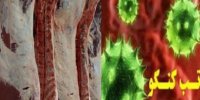 مردم از ذبح غیر کشتارگاهی خودداری کنند/خطر ابتلا به تب کریمه کنگو