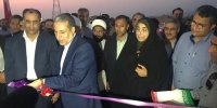 نفت در اجرای پروژه‌ها و رفع مشکلات استان بوشهر مشارکت بیشتری کند
