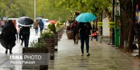 بارش باران و کاهش دمای برخی استانها