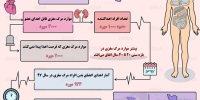 اینفوگرافی / نگاهی به آمار اهدای عضو در ایران