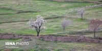 بررسی وضعیت باغات تهران