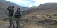 ۴ محیط‌بان بازداشتی کرمان آزاد شدند