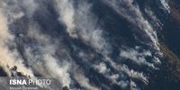 احتمال عمدی بودن حریق ارسباران
